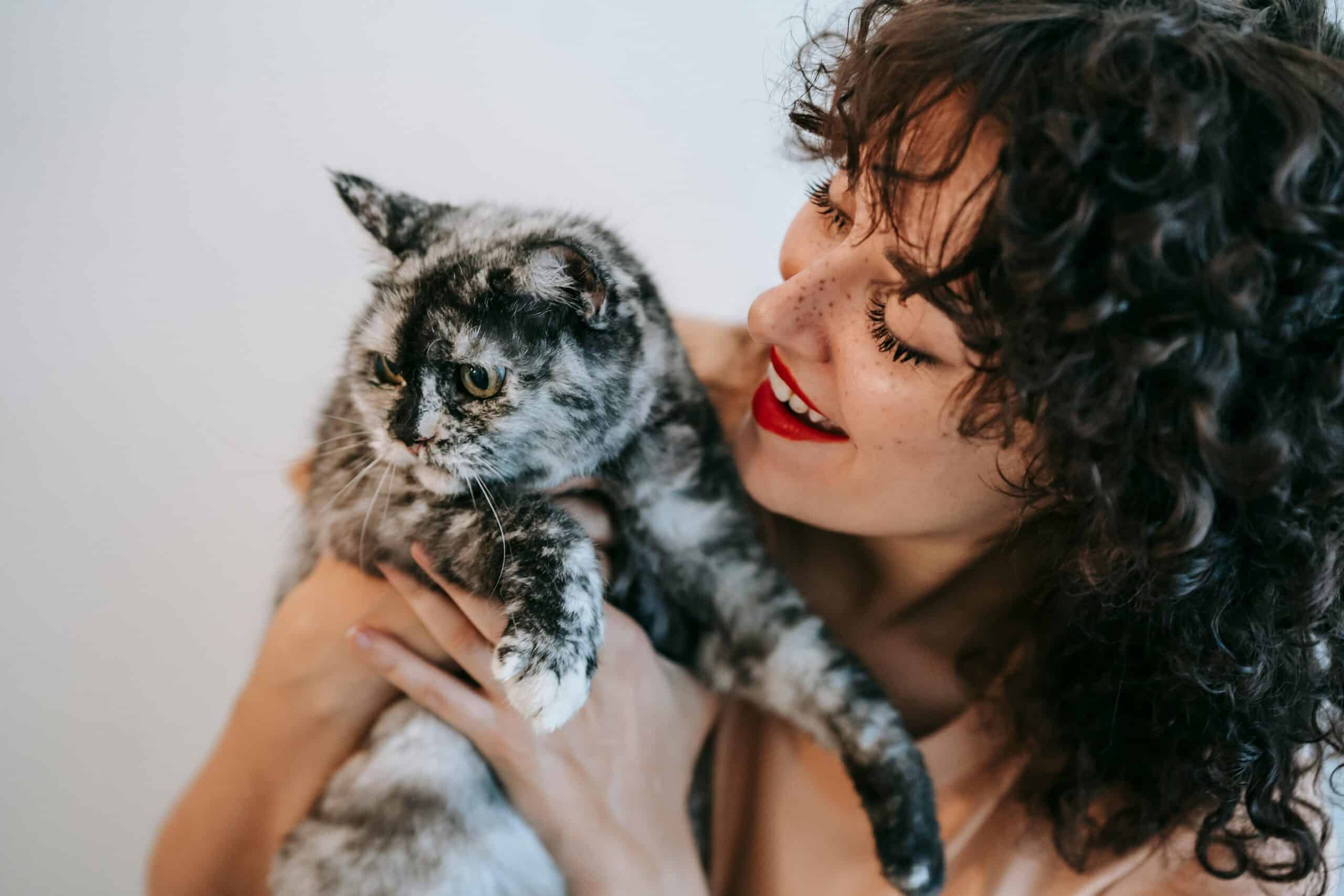 Crop glad woman cuddling cute cat on white background